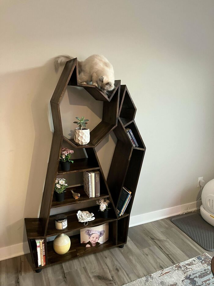 Geometric wooden bookshelf with decorative items and a cat, showcasing impressive woodworking.