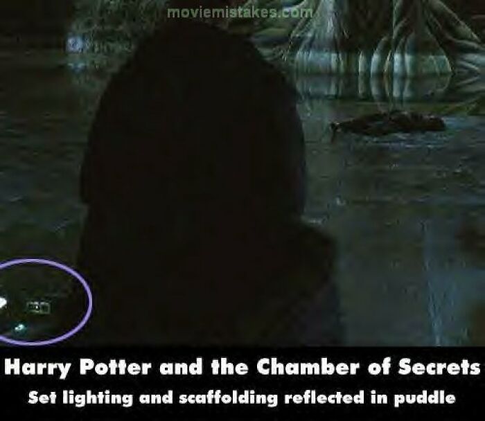 Funny movie mistakes in "Harry Potter and the Chamber of Secrets" with lighting equipment reflected in a puddle.