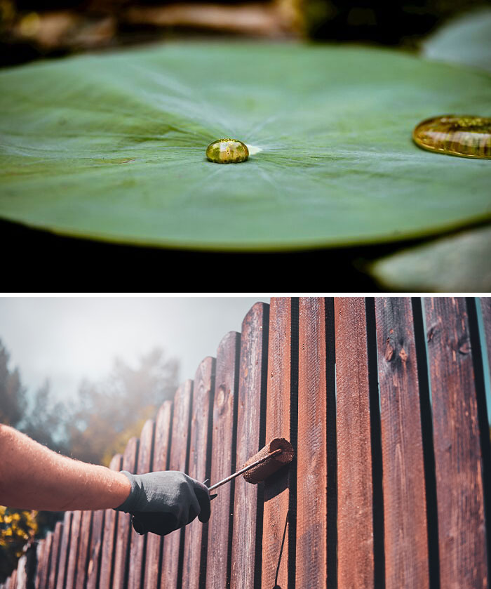 Close-up of a water droplet on a lotus leaf, showcasing nature-inspired objects in a serene setting.