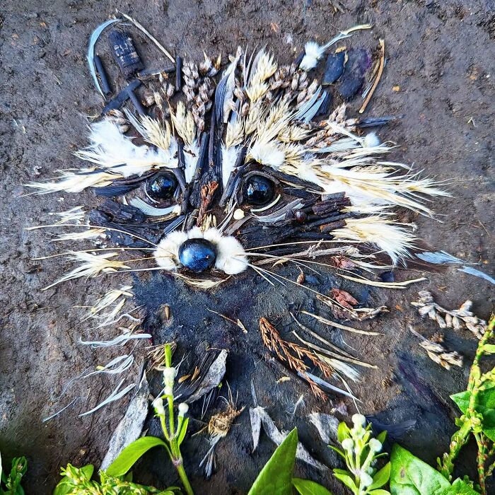 Animal portrait crafted from nature materials, depicting a raccoon's face, showcasing detailed Earth art techniques.