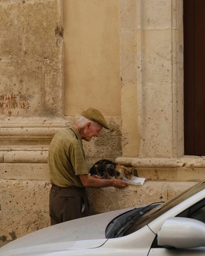 An elderly man feeds a cat on a stone ledge, an interesting image on an Instagram page.