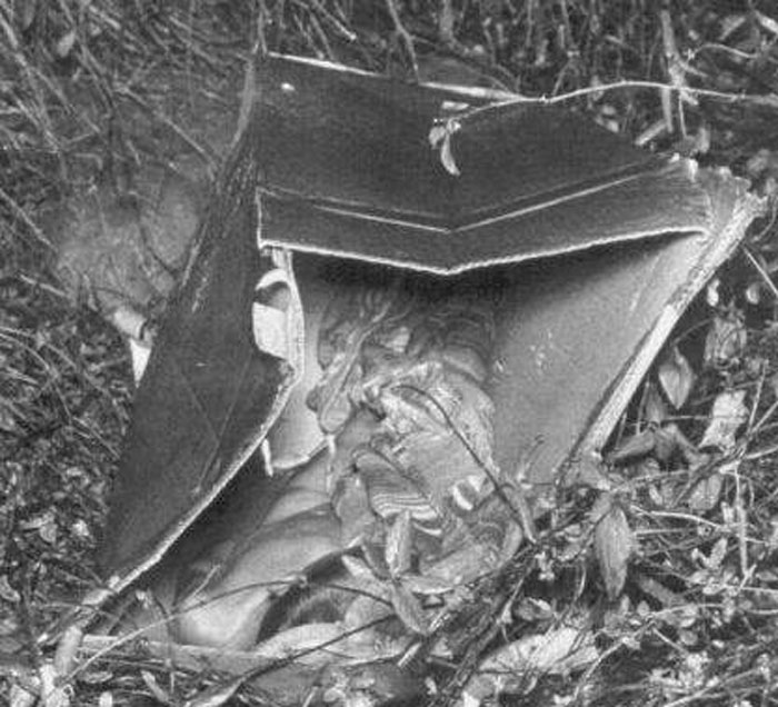 Mystery remains unsolved with a box found in a bush, linked to a true crime cold case.