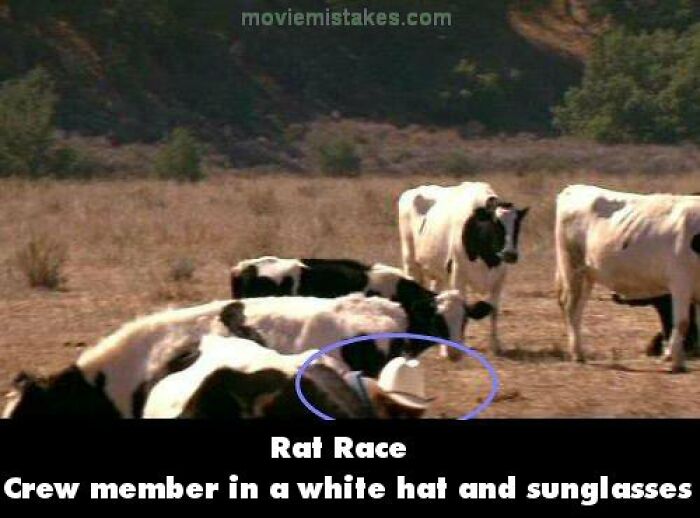 Cow scene error with crew member visible in "Rat Race," showcasing funny movie mistakes.