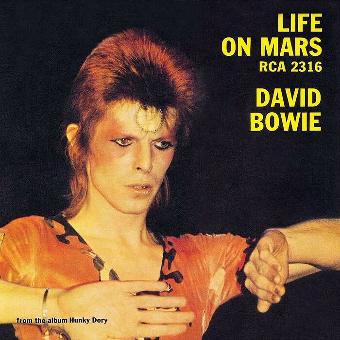 '70s song cover showing a person with distinct makeup and hair, titled "Life on Mars" by David Bowie.