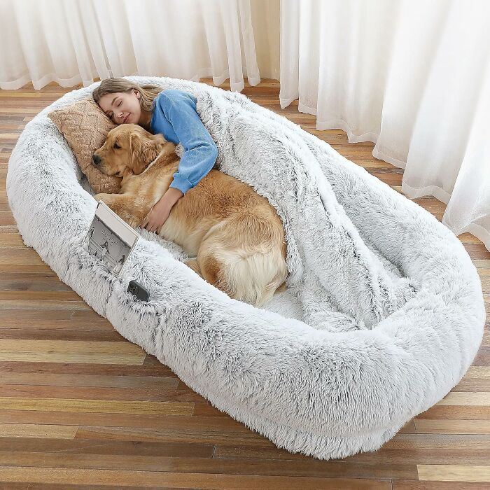 Cozy treasure: woman cuddling with a dog in a fluffy pet bed, perfect for unwinding after a busy day.