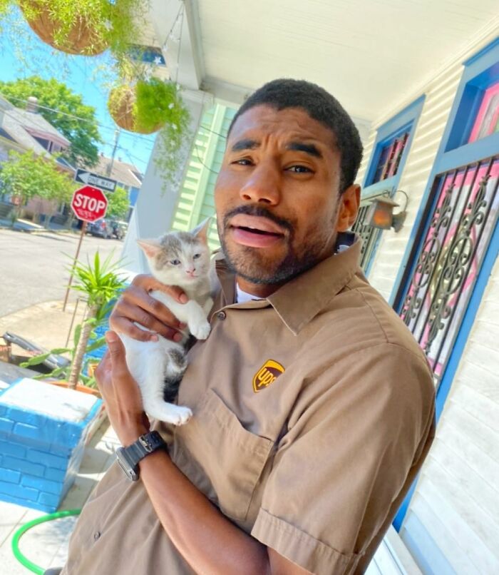 UPS driver holding a cute kitten on a sunny porch with hanging plants and a stop sign in the background.