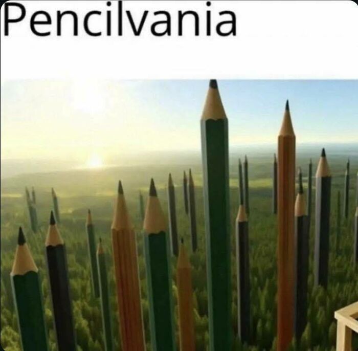 "Pencil-shaped structures in a forest landscape, a humorous take on linguistic memes."