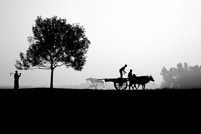 Beginning Of The Day In Village From The Series 'Beginning Of The Day' © Muhammad Amdad Hossain