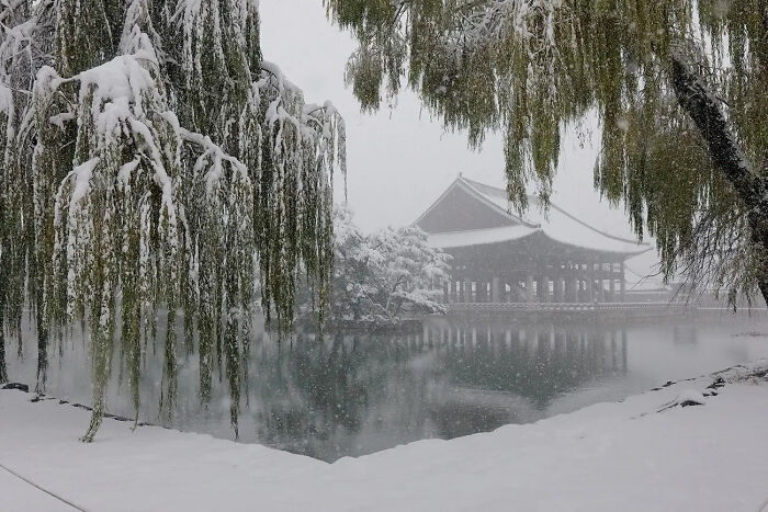 Snowfall In Seoul From The Series 'The First Snowfall In Seoul In November 2024' © Jaejoon Ha