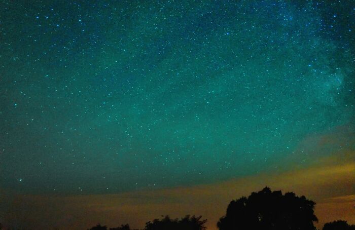 Starry night sky over silhouette trees showcasing a stunning natural phenomenon.