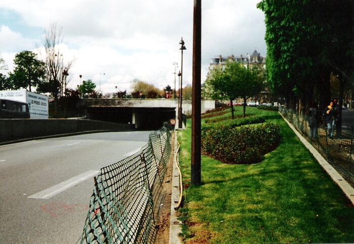 Urban road with green grass and trees, featuring a wire mesh fence, illustrating intriguing facts from the community.