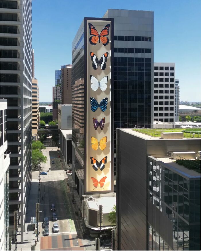 Hyper-realistic butterfly murals on a tall building in an urban setting.