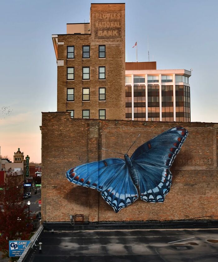 Hyper-realistic mural of an accurate butterfly painted on a building wall by a French artist.