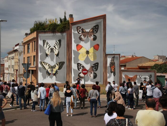 People admire hyper-realistic murals of butterflies painted on buildings.