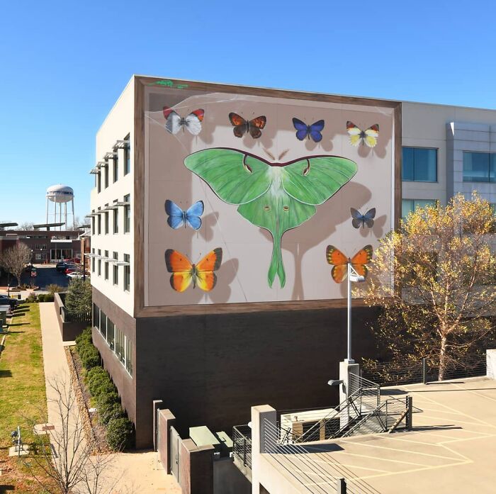 Hyper-realistic mural of accurate butterflies by French artist on a building wall, featuring various butterfly species.