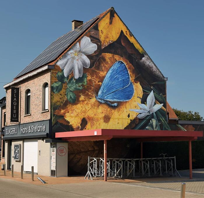 Hyper-realistic mural of a blue butterfly on a building, featuring detailed leaves and flowers painted by a French artist.