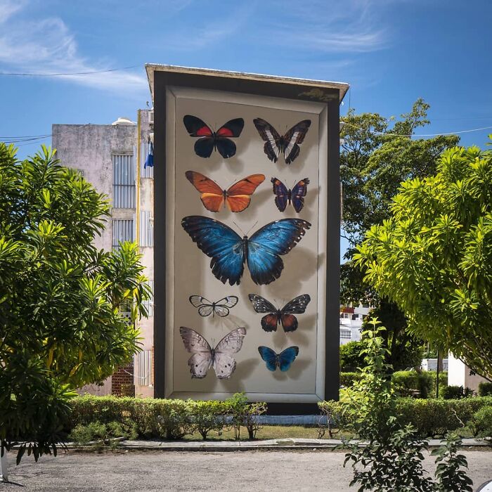 Hyper-realistic mural of accurate butterflies painted on a large building wall, showcasing vibrant colors and intricate details.