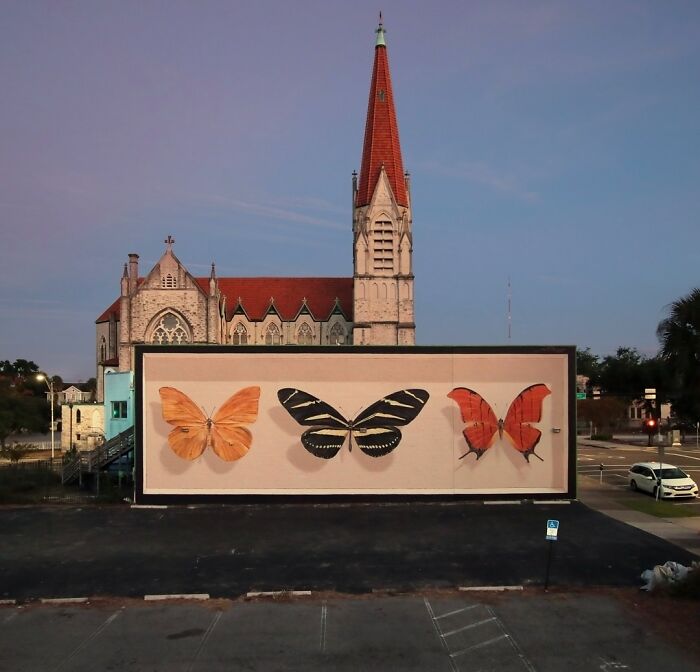 Hyper-realistic mural featuring three accurate butterflies painted on a large wall with a church in the background.