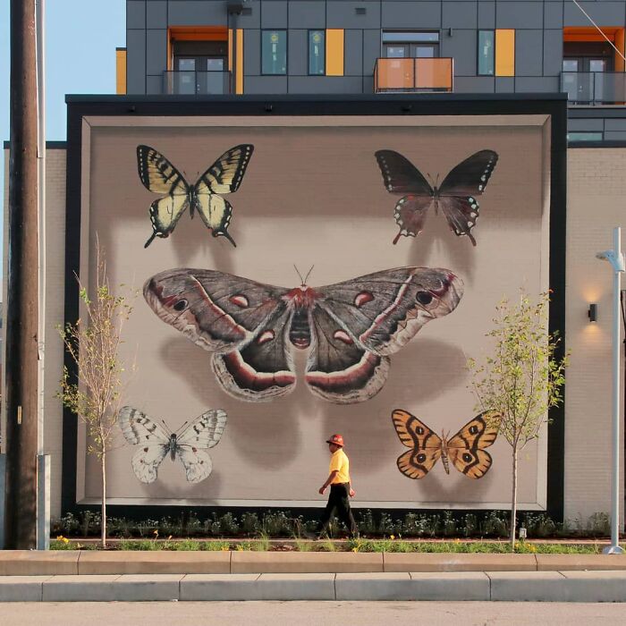 Hyper-realistic mural of butterflies painted by a French artist on an urban building wall.