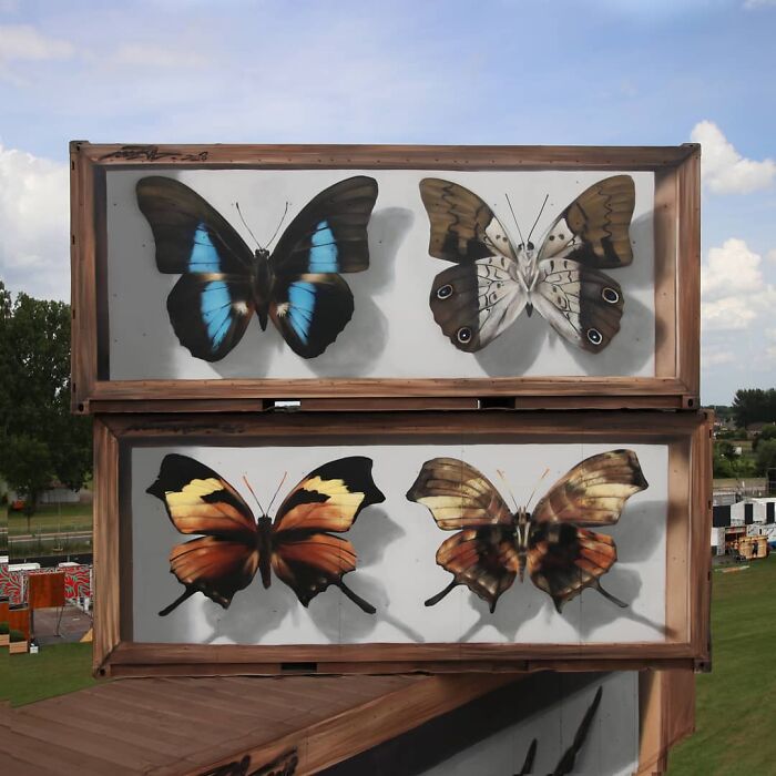 Hyper-realistic butterfly murals on stacked canvases in an outdoor setting, showcasing detailed artistry.