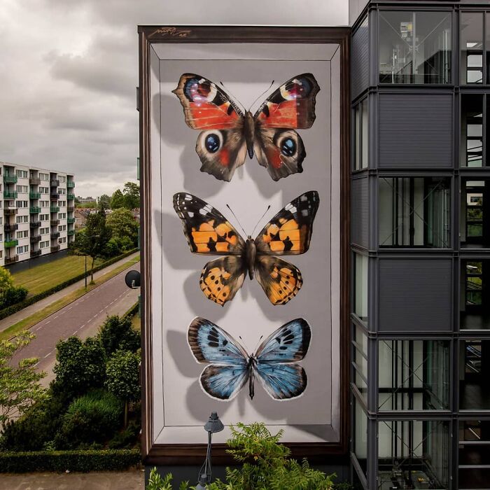 Hyper-realistic mural of three accurate butterflies painted on a building by a French artist, captured in urban setting.