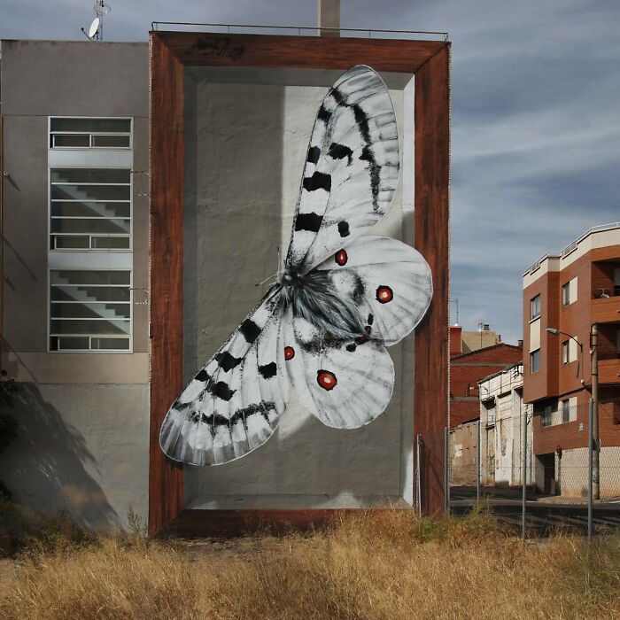 Hyper-realistic mural of a butterfly on an urban building by a French artist, featuring intricate details and vibrant colors.