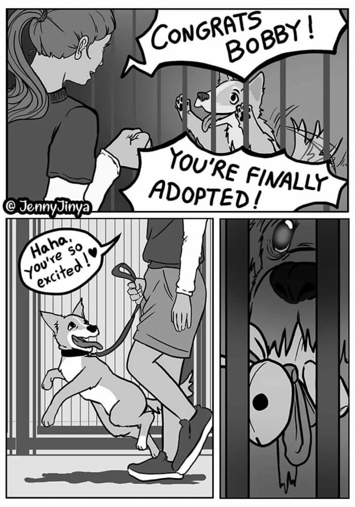 Emotional animal comic showing a joyful dog being adopted, while another dog looks sad in a cage.