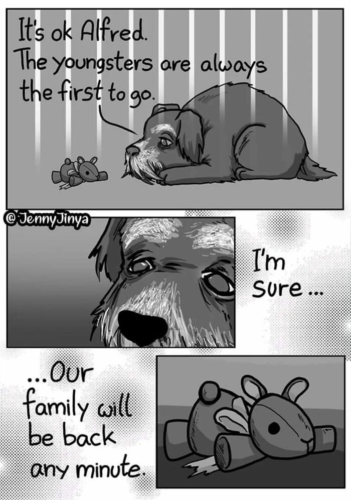 Emotional animal comic featuring a sad dog talking about family and youngsters leaving.