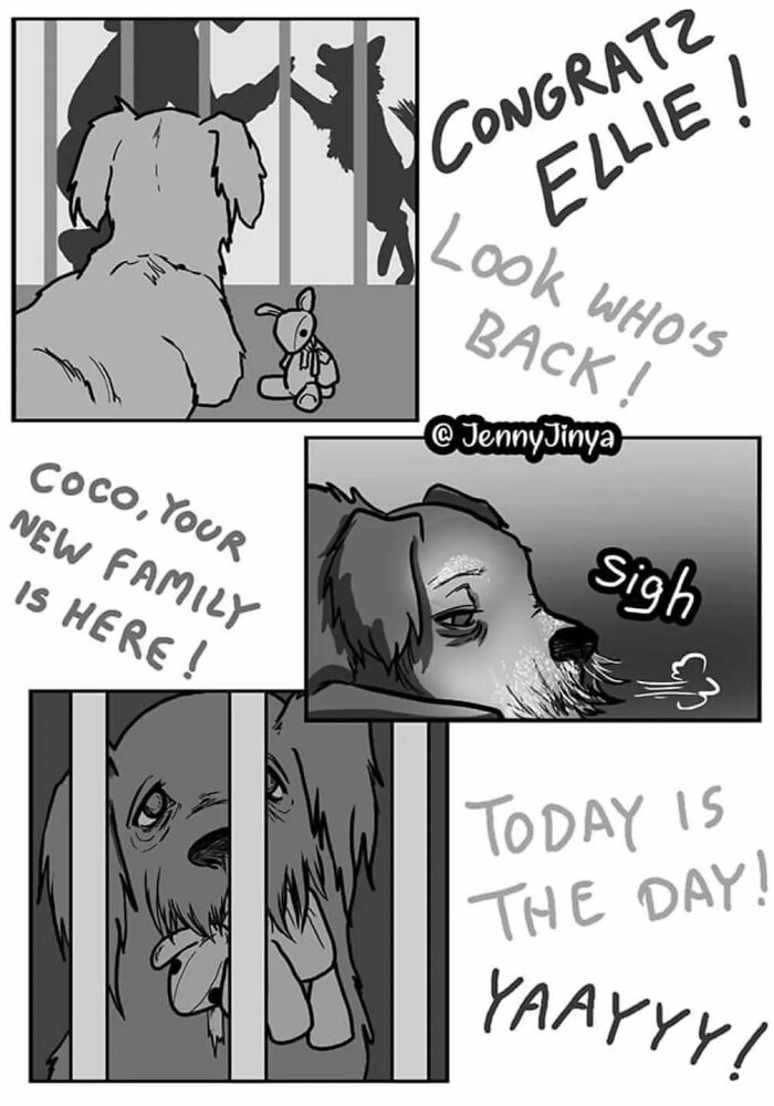 Comic strip showing emotional animals, a sad dog in a cage, and messages of adoption and new beginnings.