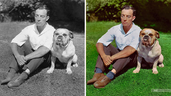 Colorized vintage photo by Sebastien De Oliveira of man sitting with dog on grass.