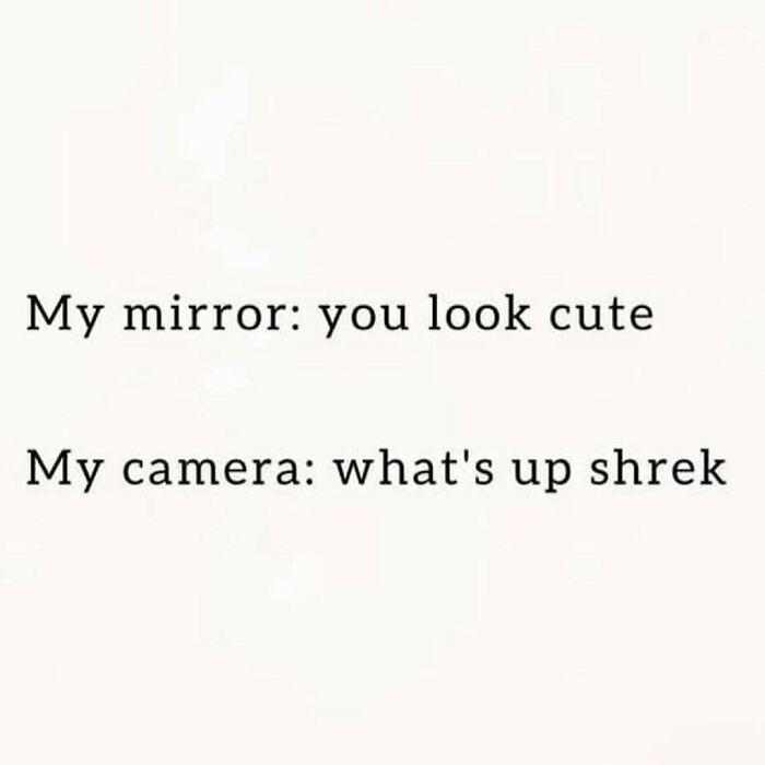 Humorous text about the difference between mirror and camera perception, often shared in mom humor contexts.