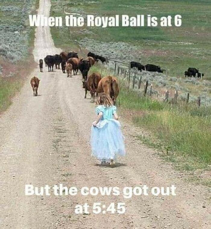 Funny-Country-Living-Memes