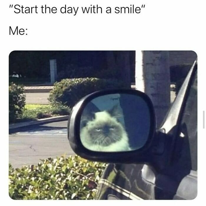 Car mirror reflects a grumpy cat humor for women meme.