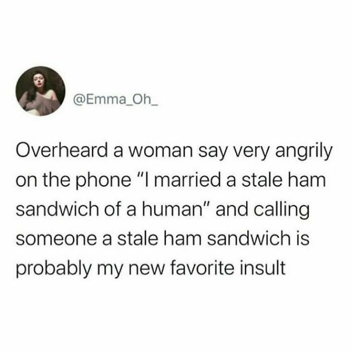 Funny food meme about comparing a person to a stale ham sandwich as an insult.