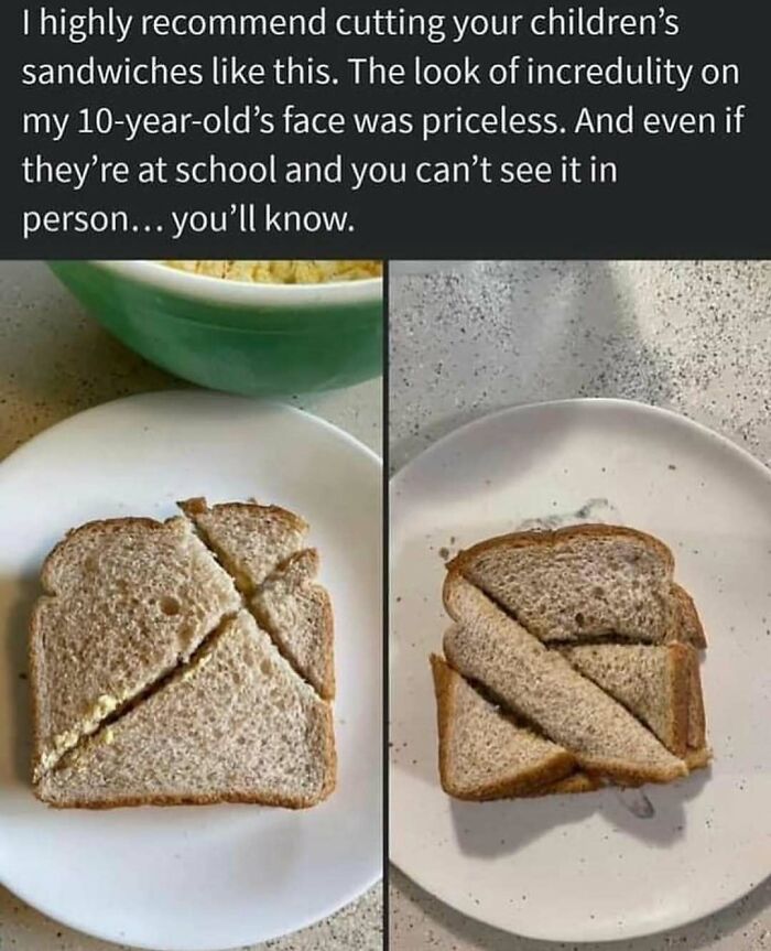 Sandwich humor tailored for women, featuring two slices cut in unique triangles on a plate.