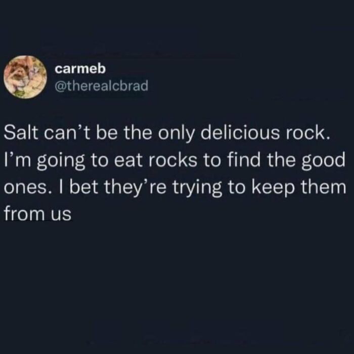 Funny food meme about eating rocks, humorously suggesting salt isn't the only delicious one.