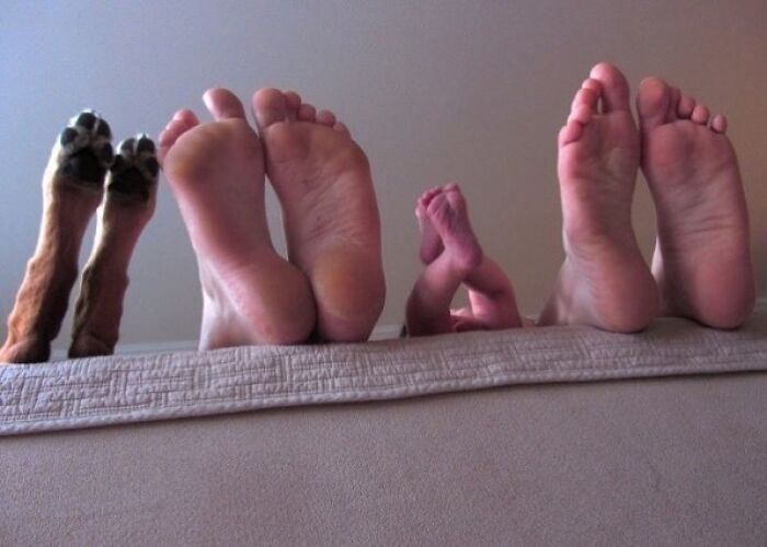 Bizarre photo of dog paws and human feet lined up on a bed, creating an eclectic composition.