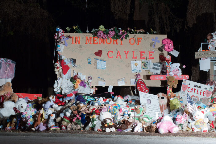 Memorial for Caylee with flowers and stuffed animals, linked to true crime cases plot twists.