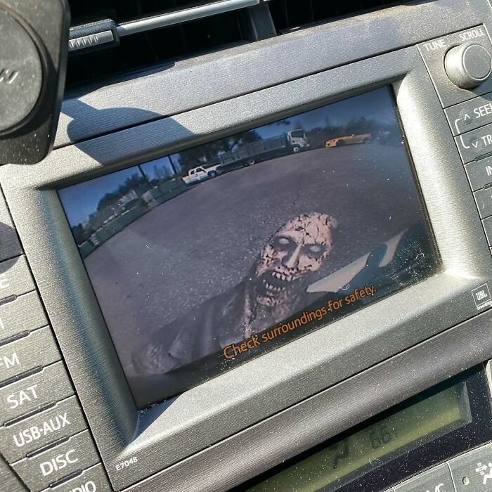 Car backup camera displaying a hilarious unexpected spooky figure.