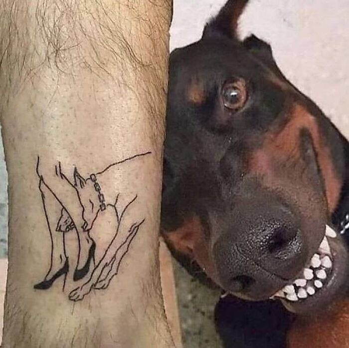 Bizarre photo of a Doberman smiling next to a tattoo of a woman on a man's leg.