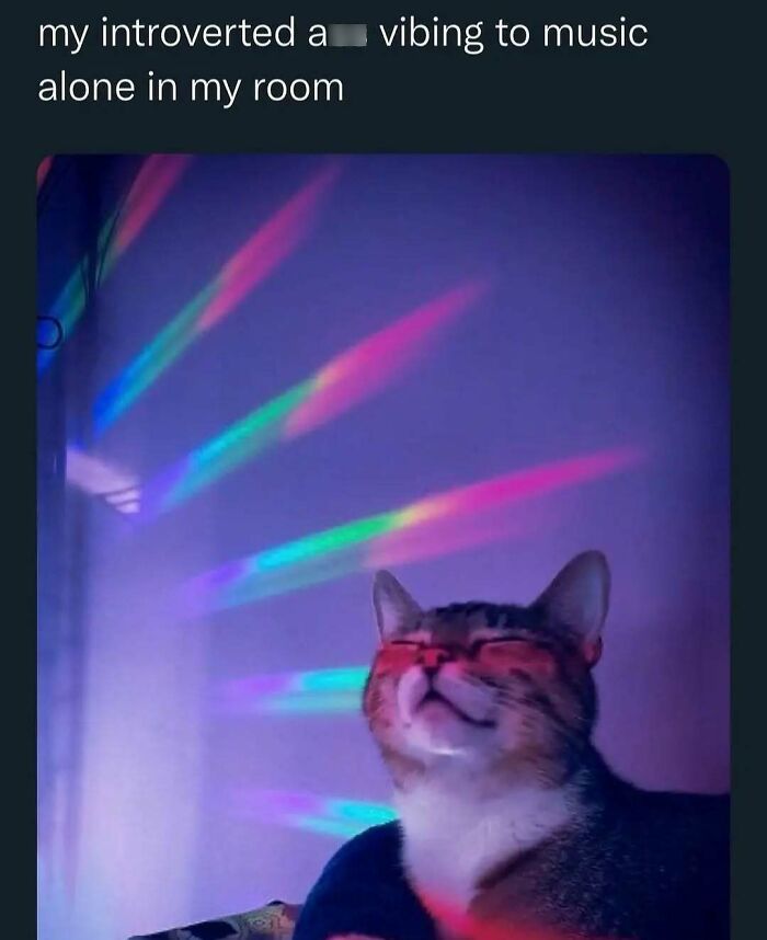 Introvert meme: A cat contentedly vibing to colorful lights in a room.