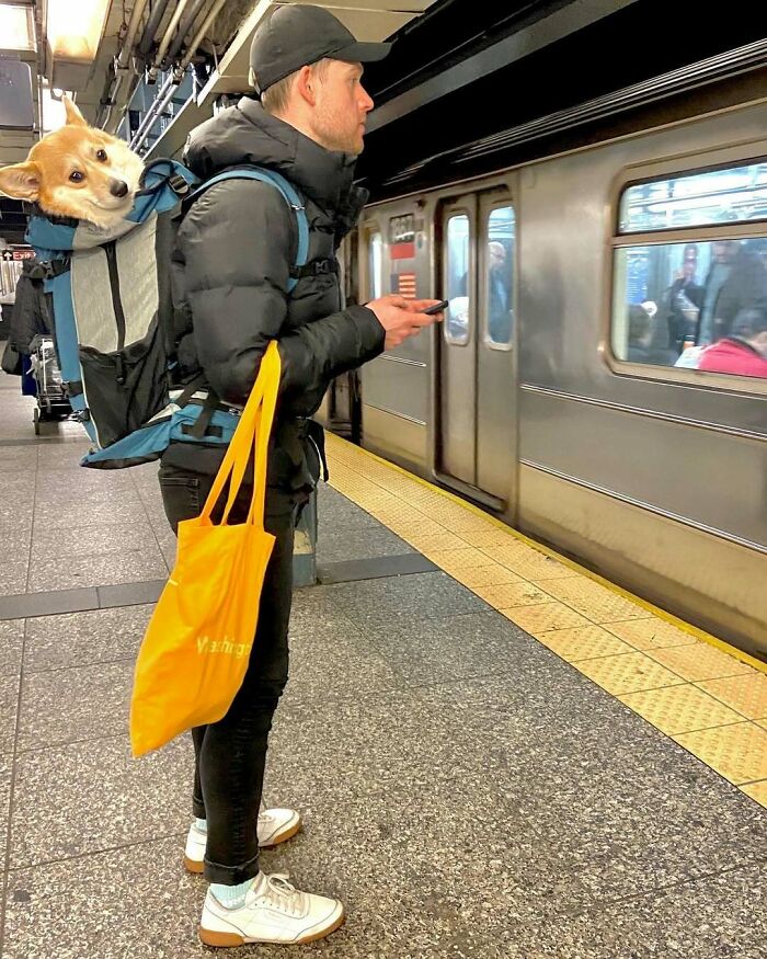 Man with dog in a backpack waiting for subway train, holding a yellow bag; a funny train passenger moment.