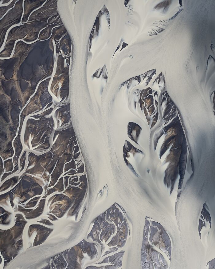 Aerial view of braided river patterns in nature, showcasing untamed beauty in a photo by Jeroen Van Nieuwenhove.