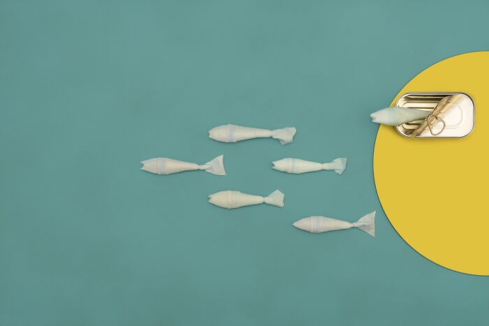 Surreal fish in the Tokyo International Foto Awards 2024, with one fish exiting a can on a teal and yellow background.