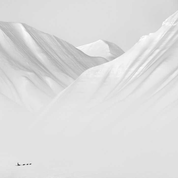 Monochrome landscape photo featured in Tokyo Foto Awards, showcasing vast snowy mountains and distant sled dogs.