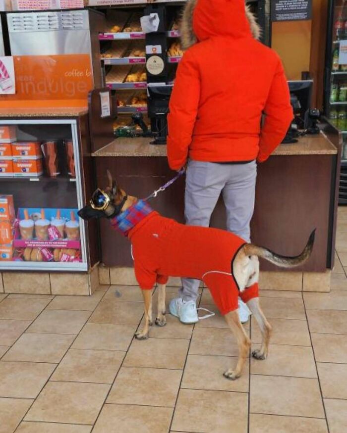 NYC local in red coat with matching dog in cafe, showcasing bold fashion experiment.