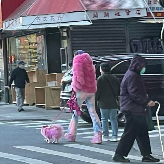 NYC local in vibrant pink fur coat and platform boots walks a stylish pink dog across a city street.