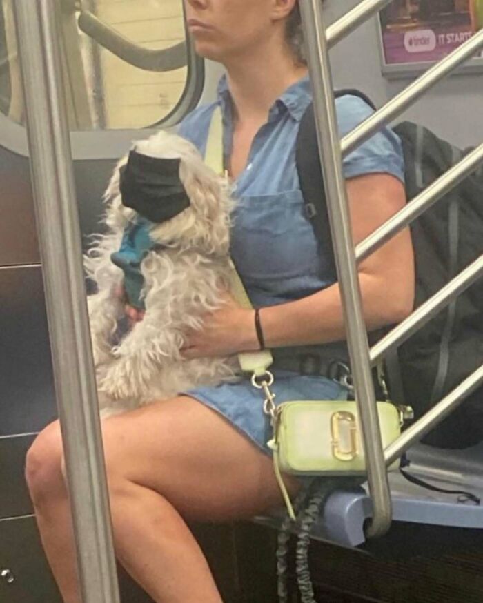 Woman sitting on subway, holding a dog wearing a face mask; example of funny train passengers.