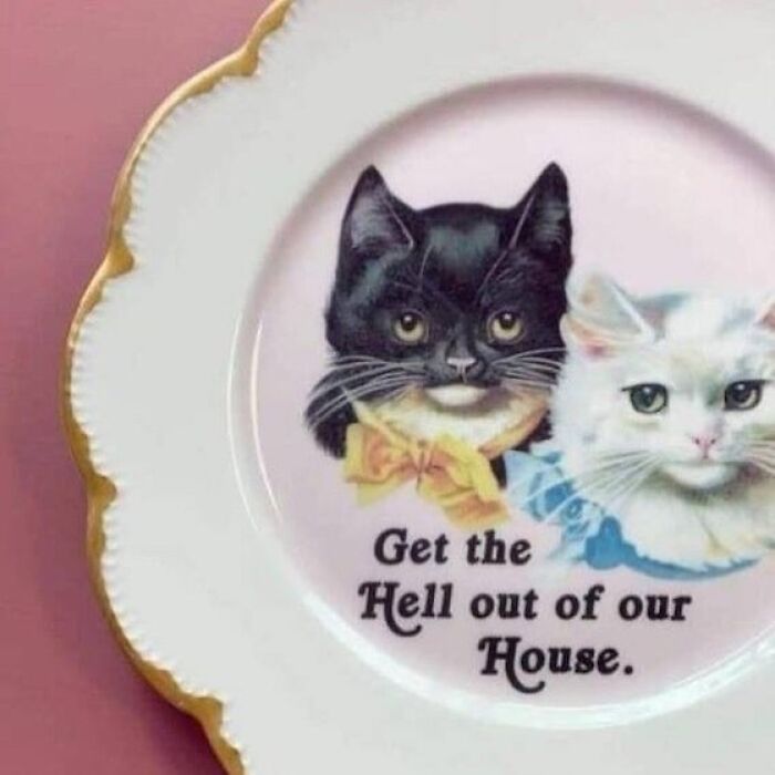 Bizarre decorative plate with cats and bold text, "Get the Hell out of our House," featuring a whimsical design.