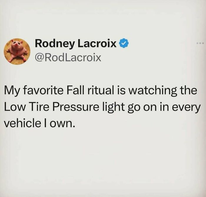 Tweet humorously describes a fall ritual linked to moms: the low tire pressure light activating in vehicles.